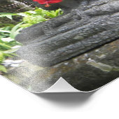 バリの像フォトプリント フォトプリント            (角)