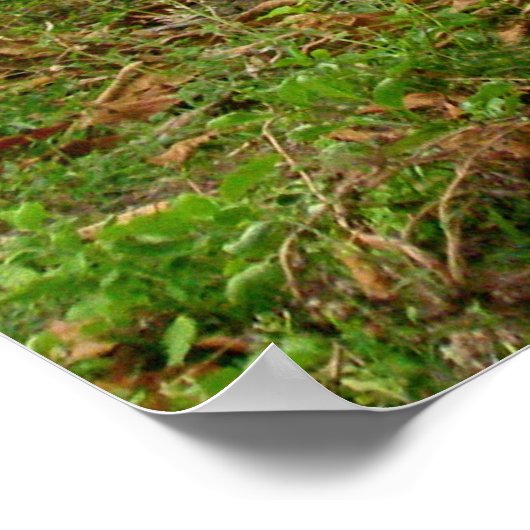 バリの田園神社 ポスター (角)