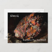 バリアリーフに致命的な素晴らしストニーフィッシュ ポストカード (正面/裏面)