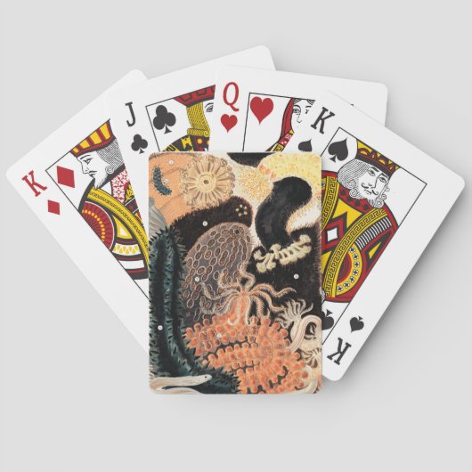 バリアリーフアネモネス トランプ (裏面)