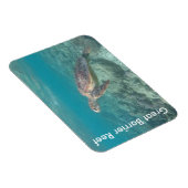 バリアリーフカメ マグネット (右側)