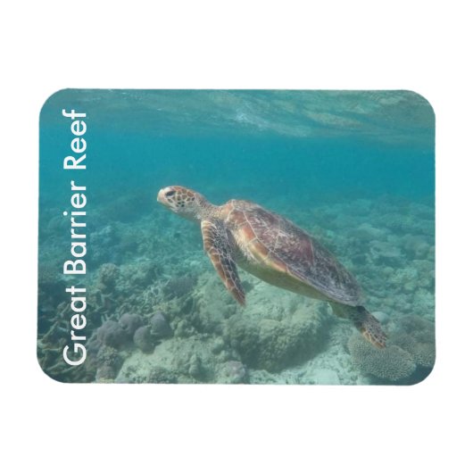 バリアリーフカメ マグネット (横)