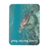 バリアリーフカメ マグネット (縦)