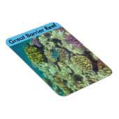 バリアリーフサンゴ マグネット (右側)