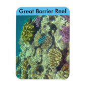 バリアリーフサンゴ マグネット (縦)