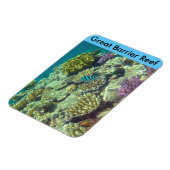 バリアリーフサンゴ マグネット (左側)