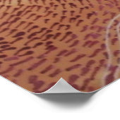 バリアリーフ夢のポスター ポスター (角)