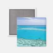 バリアリーフ素晴らしの空中表示 マグネット (正面/裏面)