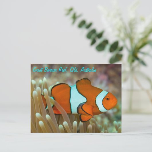バリアリーフ素晴らしはがき上の道化魚 ポストカード (スタンド正面)