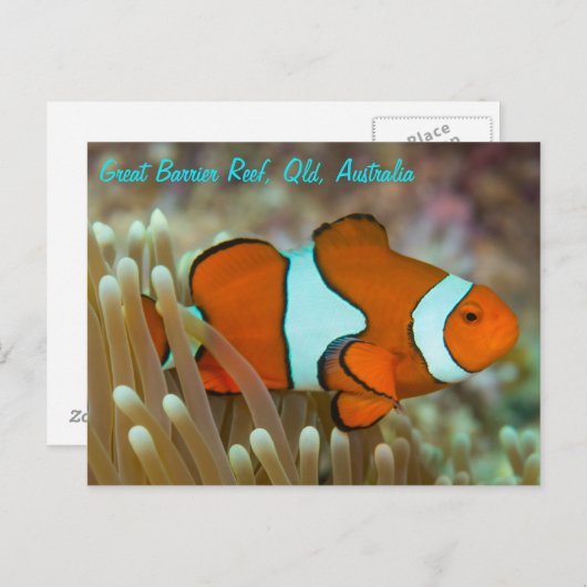 バリアリーフ素晴らしはがき上の道化魚 ポストカード (正面/裏面)