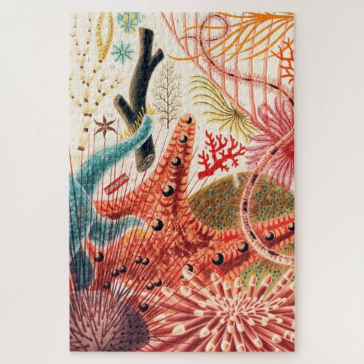 バリアリーフ素晴らしエキノデルムスシークリーチャー ジグソーパズル (縦)