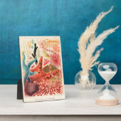 バリアリーフ素晴らしエキノデルム フォトプラーク (側面)