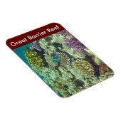 バリアリーフ魚 マグネット (右側)