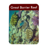 バリアリーフ魚 マグネット (縦)