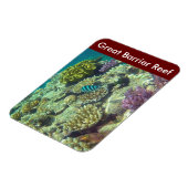 バリアリーフ魚 マグネット (左側)