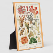 バリア素晴らしーリーフサンゴ フォトプラーク (側面)