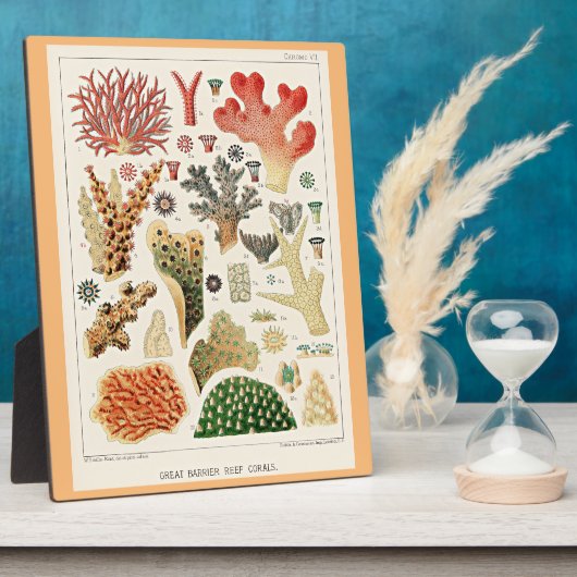 バリア素晴らしーリーフサンゴ フォトプラーク (側面)