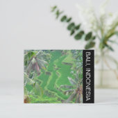 バリイステラス ポストカード (スタンド正面)