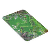 バリイステラス マグネット (右側)