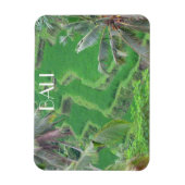 バリイステラス マグネット (縦)