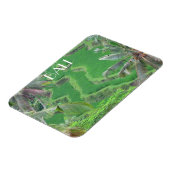 バリイステラス マグネット (左側)