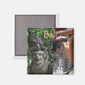 バリインドネシアテンプルモンキーと彫像 マグネット (正面/裏面)