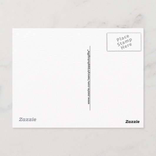 バリエーションパステルアクアタイルパターン ポストカード (裏面)