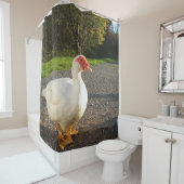 バリケンドレーク シャワーカーテン (インサイチュ)