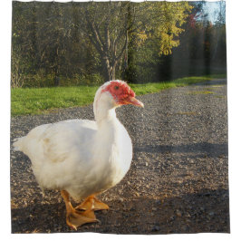 バリケンドレーク シャワーカーテン