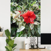 バリゲーションハイビスカス ポスター (ホームオフィス)