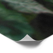 バリゲーションハイビスカス ポスター (角)