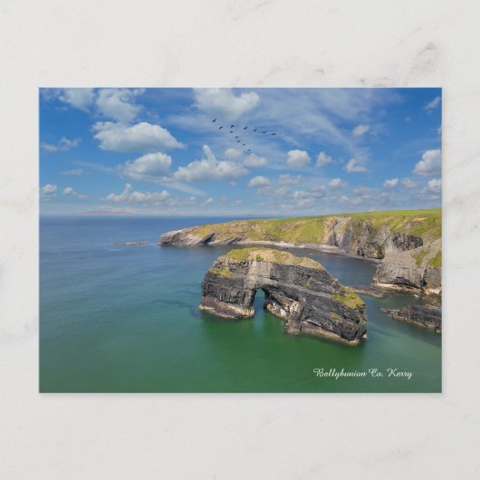 バリブニオン株式会社ケリー シーズンポストカード (正面)