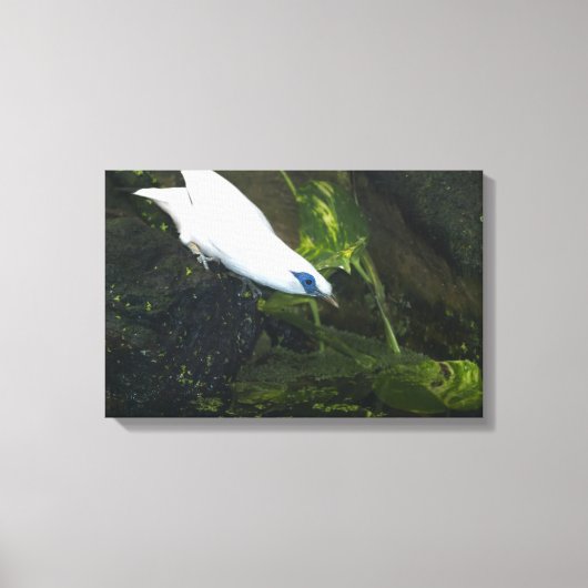 バリミナ キャンバスプリント (正面)