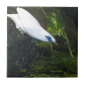 バリミナ タイル (正面)