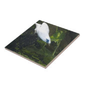 バリミナ タイル (側面)