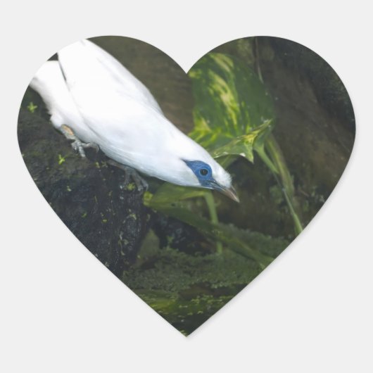 バリミナ ハートシール (正面)