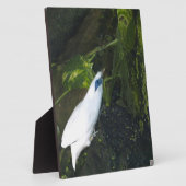 バリミナ フォトプラーク (側面)