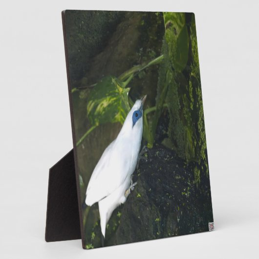 バリミナ フォトプラーク (側面)