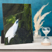 バリミナ フォトプラーク (側面)