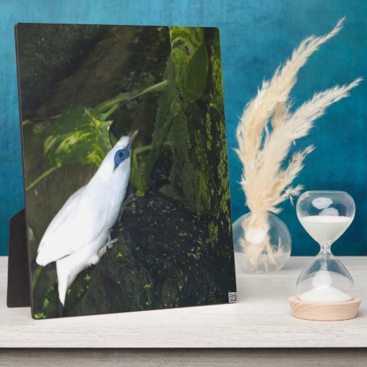 バリミナ フォトプラーク (側面)