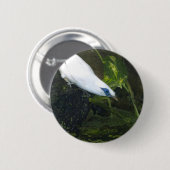 バリミナ 缶バッジ (正面&裏面)