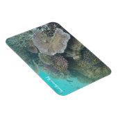 バリヤ素晴らしサンゴ磁石 マグネット (右側)