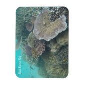 バリヤ素晴らしサンゴ磁石 マグネット (縦)