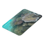 バリヤ素晴らしサンゴ磁石 マグネット (左側)