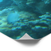 バリヤ素晴らしリーフタートルポスター ポスター (角)