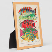 バリヤ素晴らしリーフフィッシュ フォトプラーク (側面)