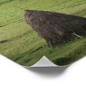 バリューポスター紙ストローベール ポスター (角)