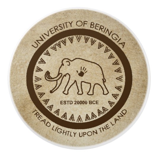 バリンギアマンモス大学 セラミックノブ (正面)