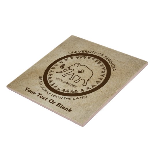 バリンギアマンモス大学 タイル (側面)