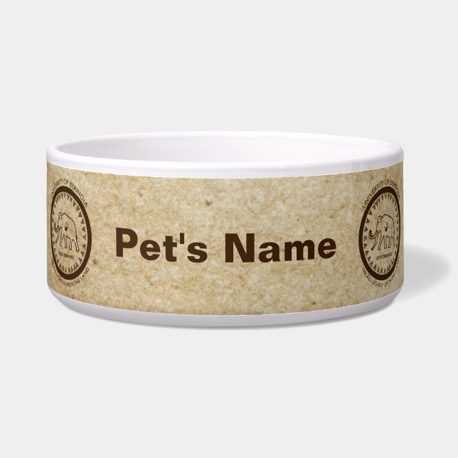 バリンギアマンモス大学 ボウル (正面)